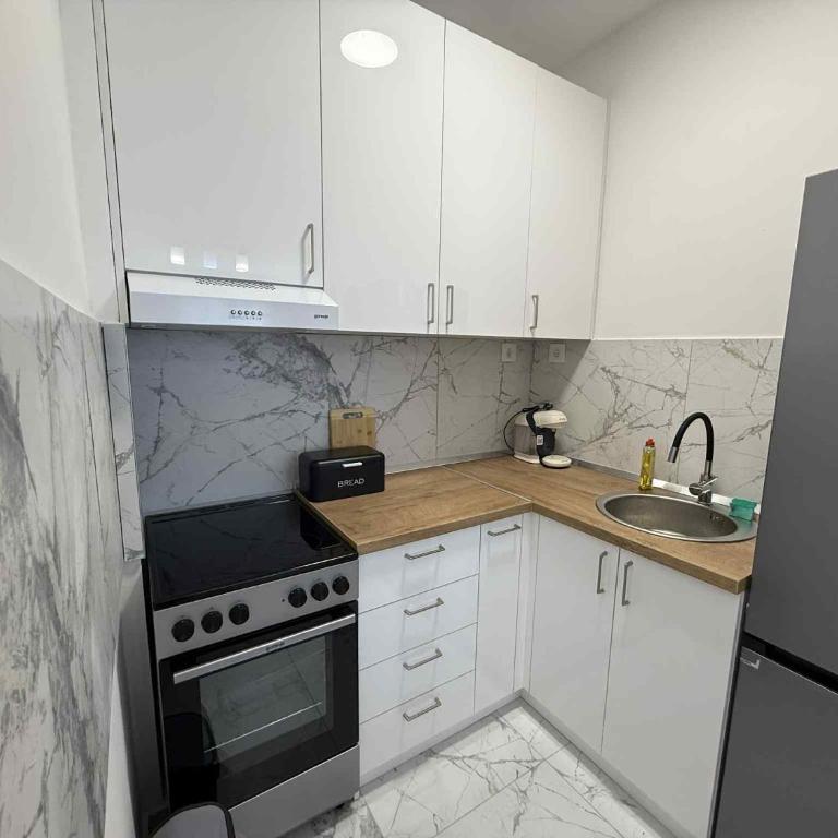 Nikic apartman - Apartman sa 1 Spavaćom Sobom - 3