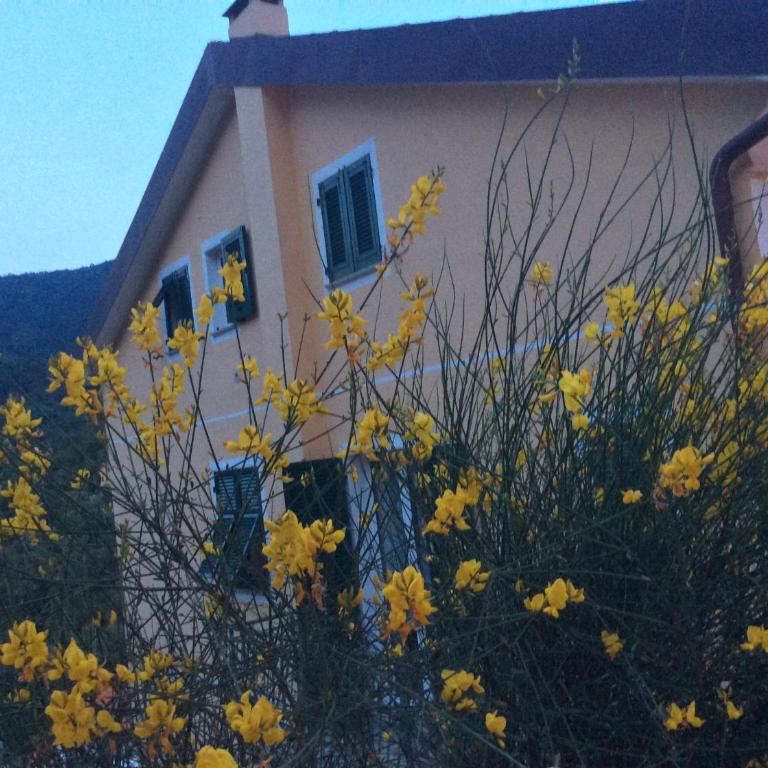 Cà di GIACO - Appartamento con Terrazza - 6