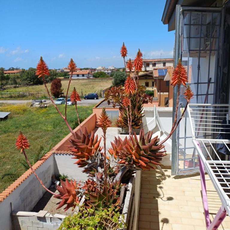Alloggio breve Longo - Appartamento con 1 Camera da Letto e con Giardino - 7