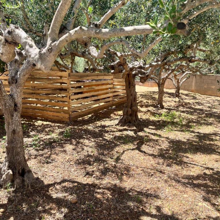 B&B La Chicca di Milu' for Pet Lovers, un'oasi pet-friendly tra mare e campagna - Camera Deluxe - 25