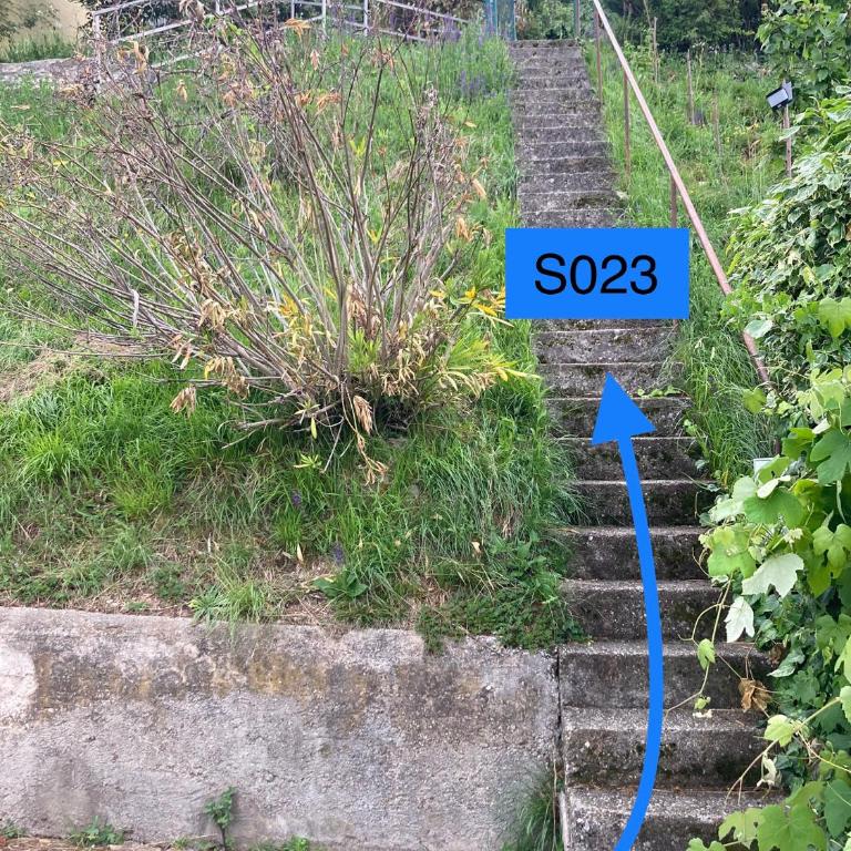 Casa del Lampone - Bungalow mit Gardaseeblick - Appartamento con 2 Camere da Letto - 44