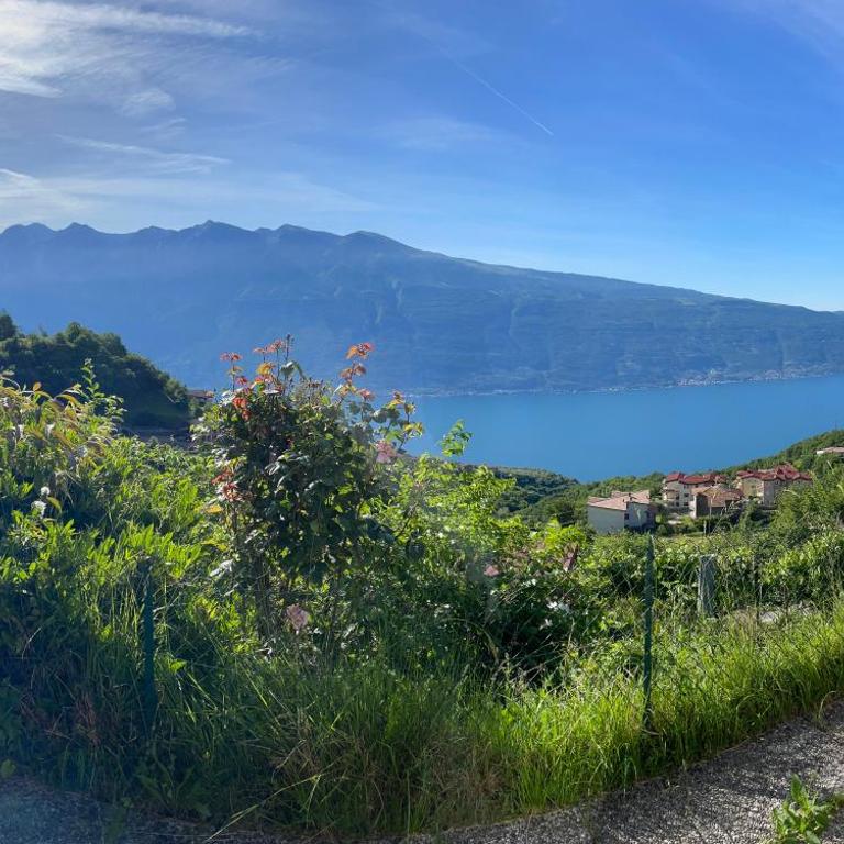 Casa del Lampone - Bungalow mit Gardaseeblick - Appartamento con 2 Camere da Letto - 8