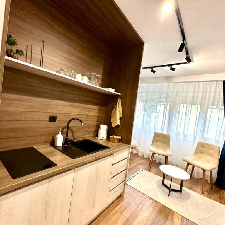 Lux Apartments NK - Old Town - Studio apartman sa 1 bračnim krevetom - 2