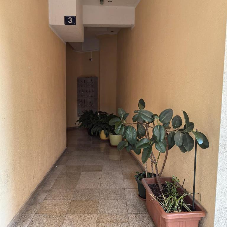 City View 7 - Budva Center - Apartman sa 1 Spavaćom Sobom - 38