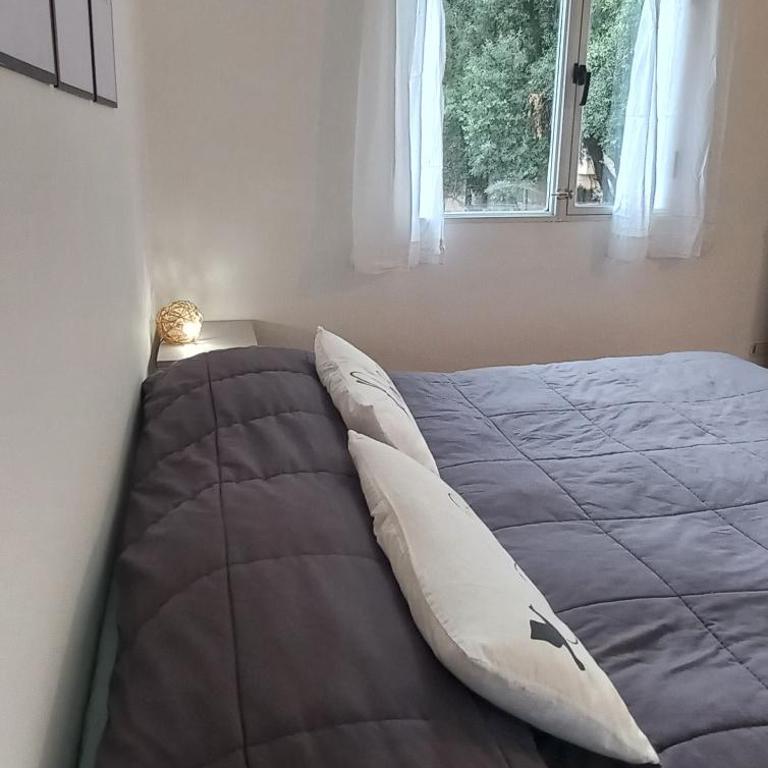 Delta Home III - One-Bedroom Apartment - 16