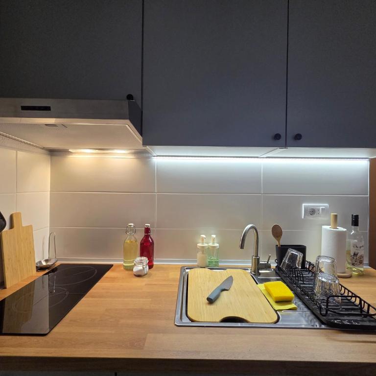 Studio Sanader - Apartman sa 1 Spavaćom Sobom - 11