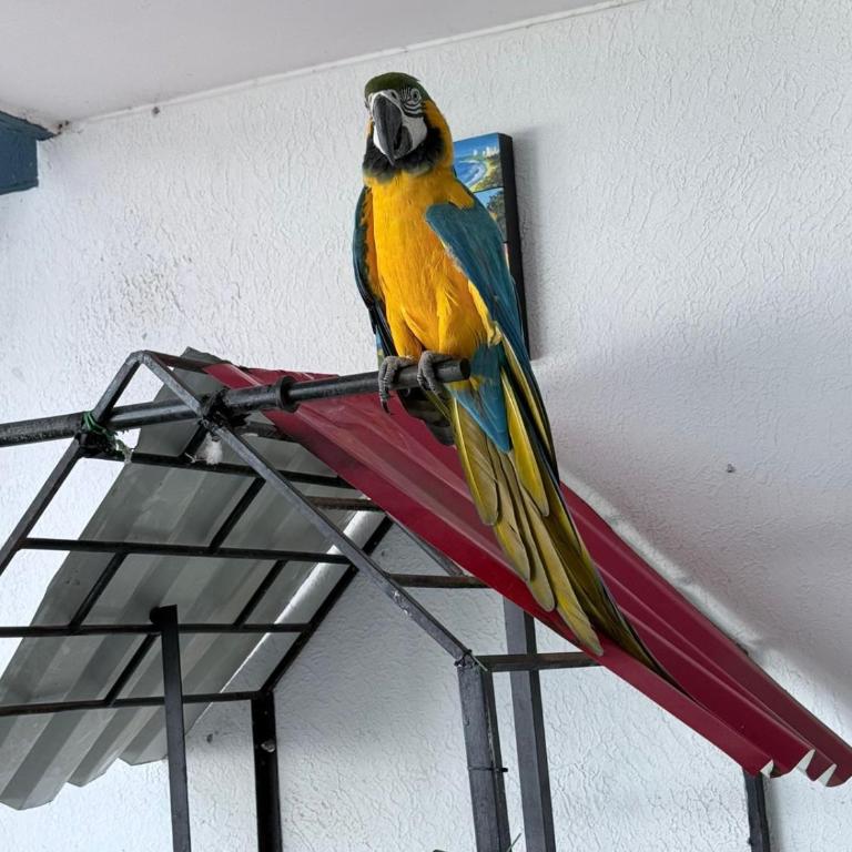 Hotel Mi Tierra Gaira Santa Marta - Habitación Familiar - 6