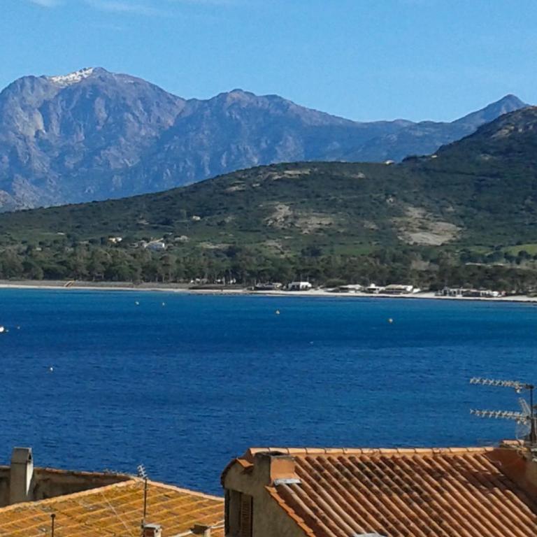 appartement vue mer montagnes et citadelle casa di a murza Calvi - Apartment with Sea View - 1