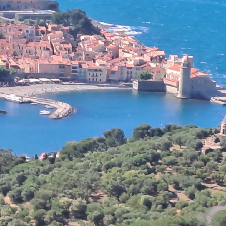 Logement 50 m de la plage Arrivée et Départ Autonome - Apartment - Erdgeschoss - 5
