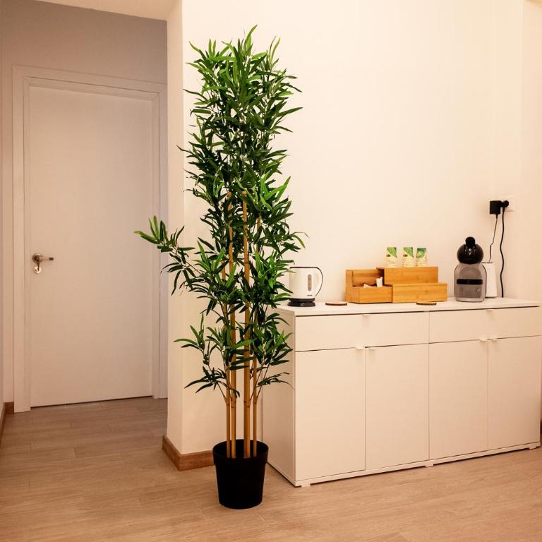 Vacanze Cisternone Livorno centro - Triple Room with Balcony - 10