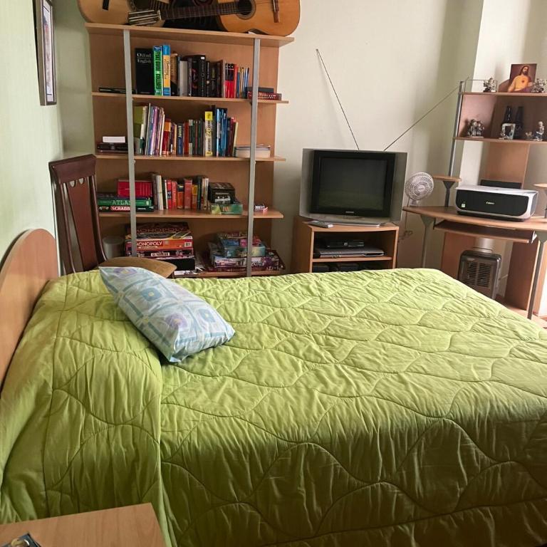 Beautiful comfortable apartment - Two-Room Apartment - 25