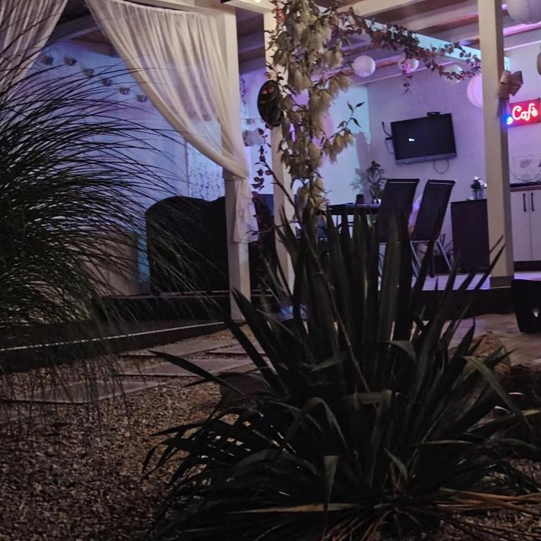 Kuća za odmor MERLIN HOUSE - Kuća sa 1 Spavaćom Sobom - 62