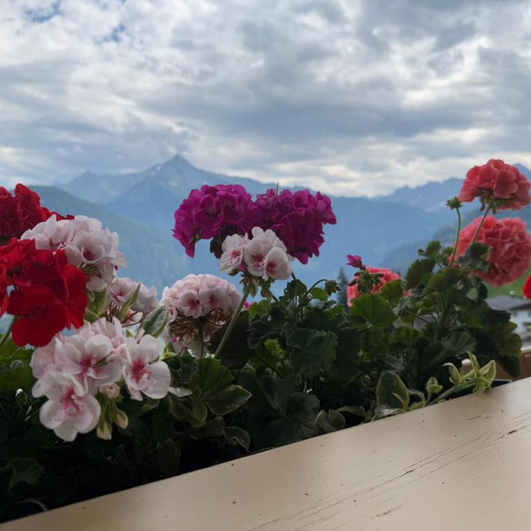 Appartement Sonne im Ferienhaus Johanna - Mayrhofen-Hippach- In der Nähe von der Skipiste - Apartment mit 2 Schlafzimmern und Bergblick - 47
