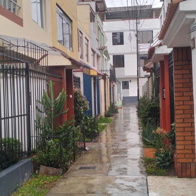 Hermoso mini dpto en San Luis Lima - One-Bedroom Apartment - 3