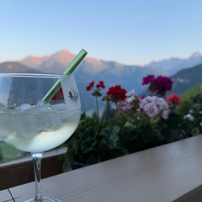 Ferienhaus Johanna in Mayrhofen-Hippach- Nähe der Skipiste - Haus mit 5 Schlafzimmern - 82