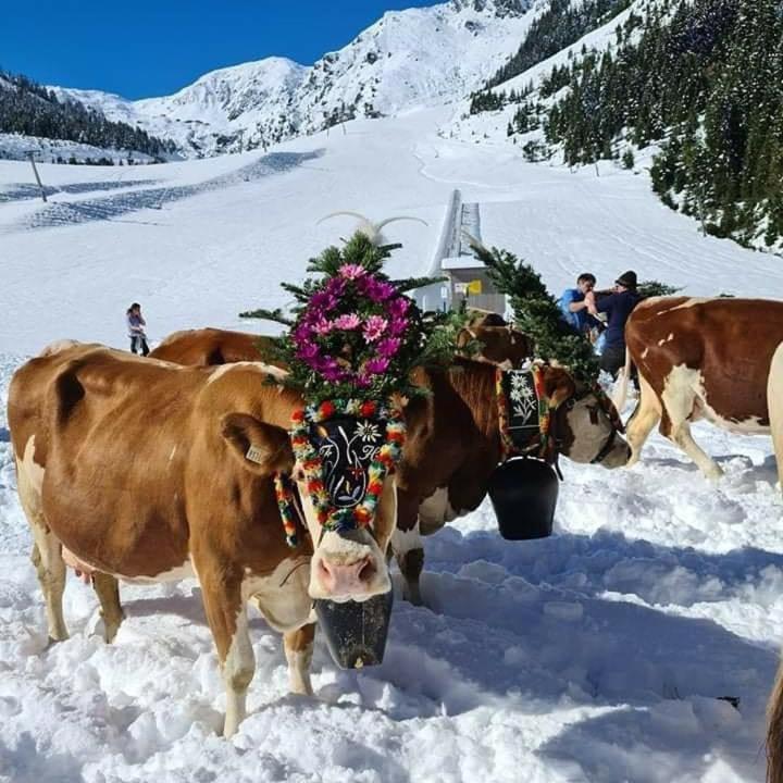 Appartement Sonnenschein im Ferienhaus Johanna in Mayrhofen-Hippach- Nähe der Skipiste - Apartment mit 3 Schlafzimmern und Bergblick - 72