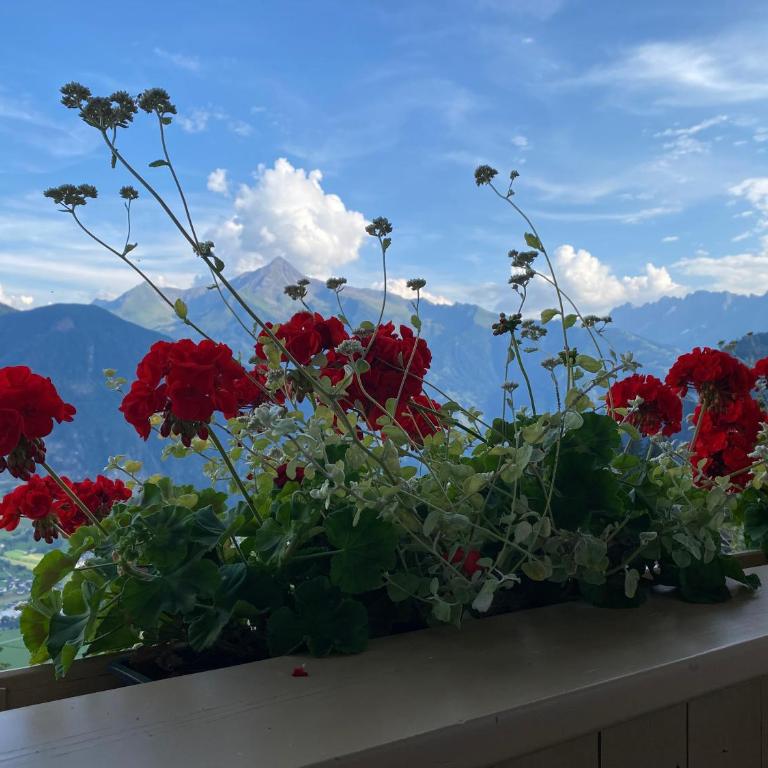 Appartement Sonnenschein im Ferienhaus Johanna in Mayrhofen-Hippach- Nähe der Skipiste - Apartment mit 3 Schlafzimmern und Bergblick - 34