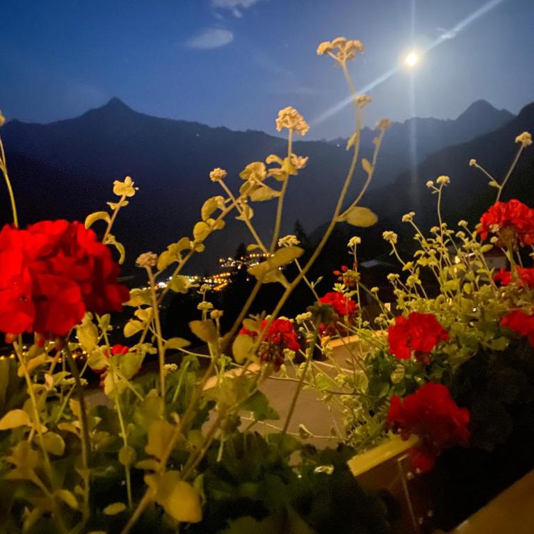 Appartement Sonnenschein im Ferienhaus Johanna in Mayrhofen-Hippach- Nähe der Skipiste - Apartment mit 3 Schlafzimmern und Bergblick - 80