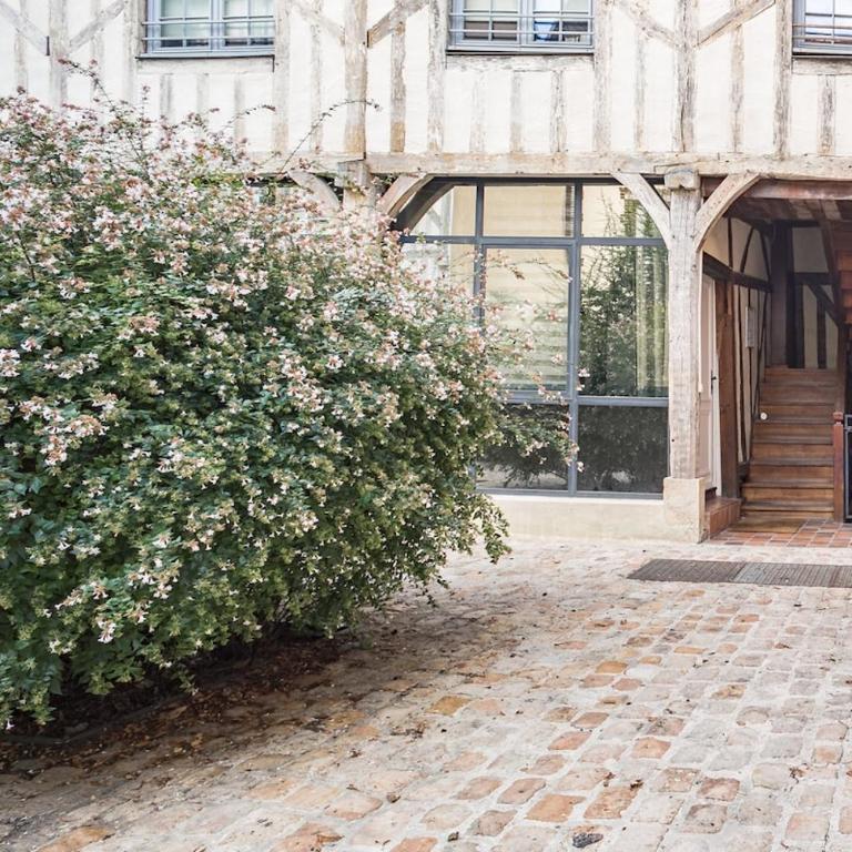 Les Grisettes -Charme et Histoire -Prox Cathédrale - Appartement 1 Chambre - 12