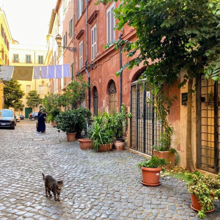 Trastevere Loft Leopardo - Appartamento con 1 Camera da Letto - 6