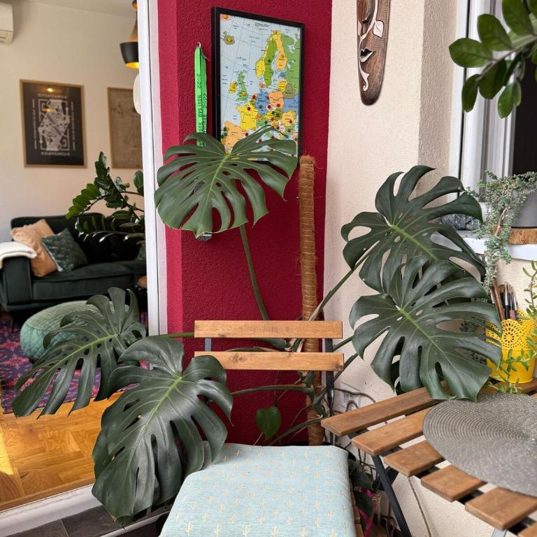 Katarina Apartment - Apartman sa 1 Spavaćom Sobom - 3