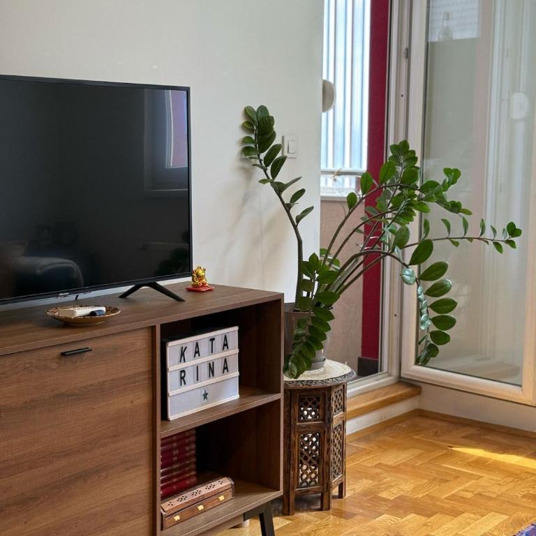 Katarina Apartment - Apartman sa 1 Spavaćom Sobom - 4