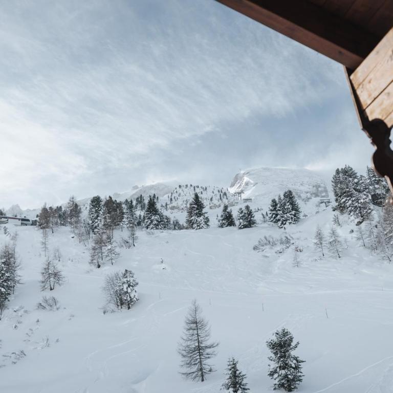 Superior Hotel Schneider Ski-in & Ski-out - Penthouse-Suite mit Sauna - 1