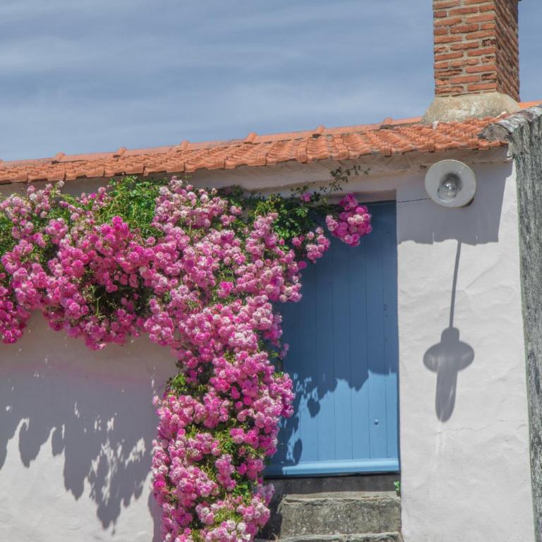 Casa Natura - Maison de Vacances 3 Chambres - 29