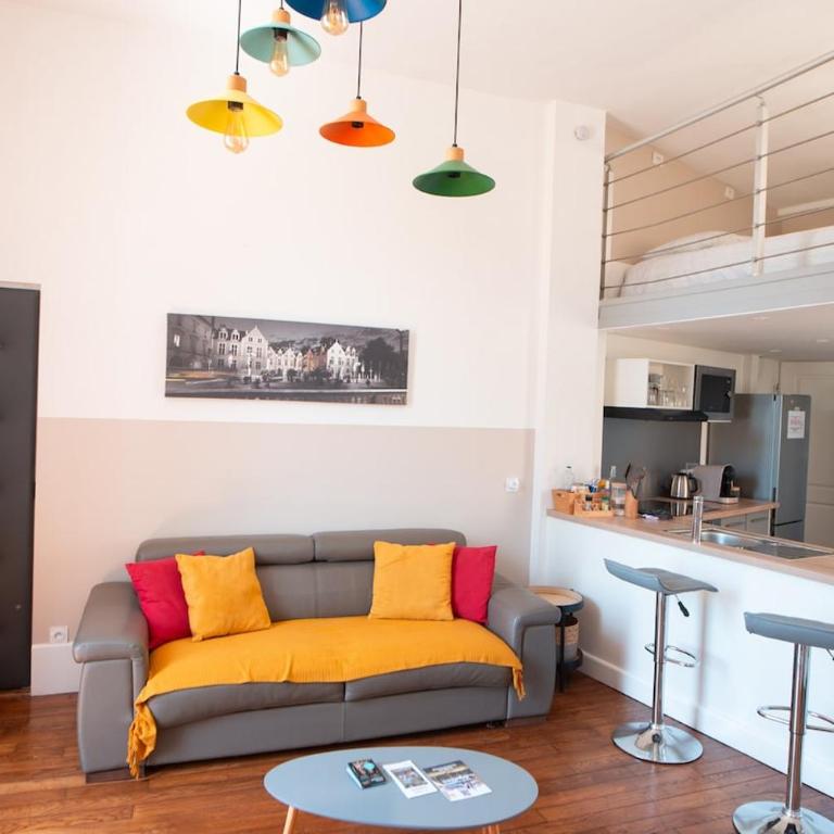 Le lin - Hyper Centre Orléans - Appartement 1 Chambre - 11