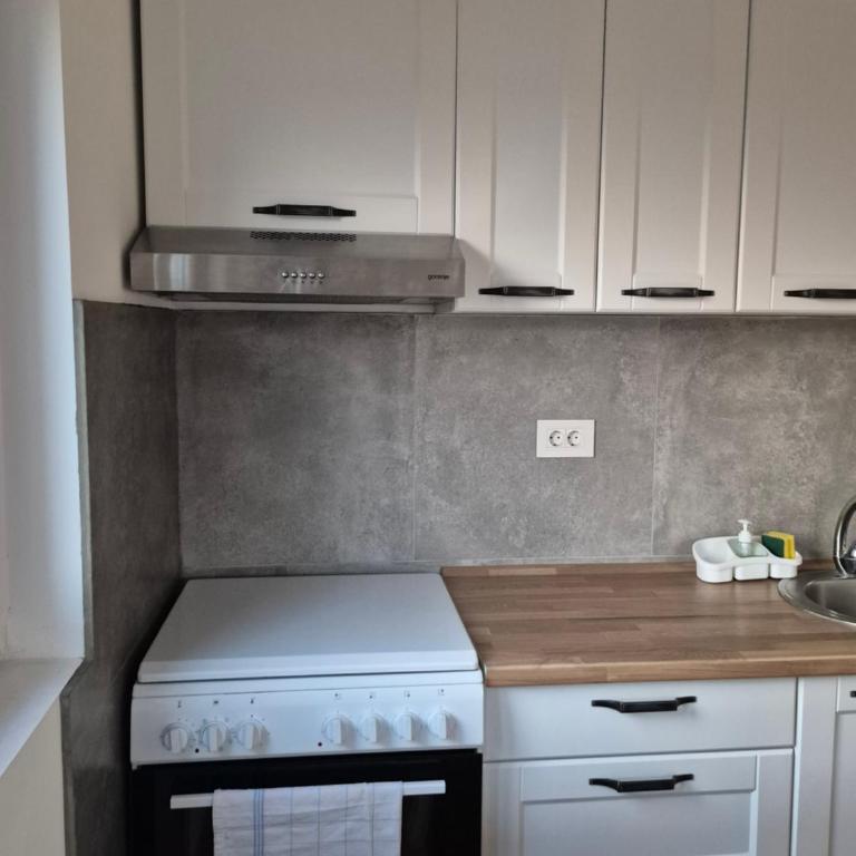 Globus - Apartman sa 1 Spavaćom Sobom - 15