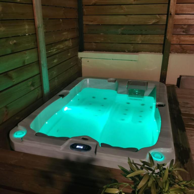 Le Chalet Champenois - Jacuzzi - Terrasse - Calme - Ciné Netflix - Maison 1 Chambre - 17