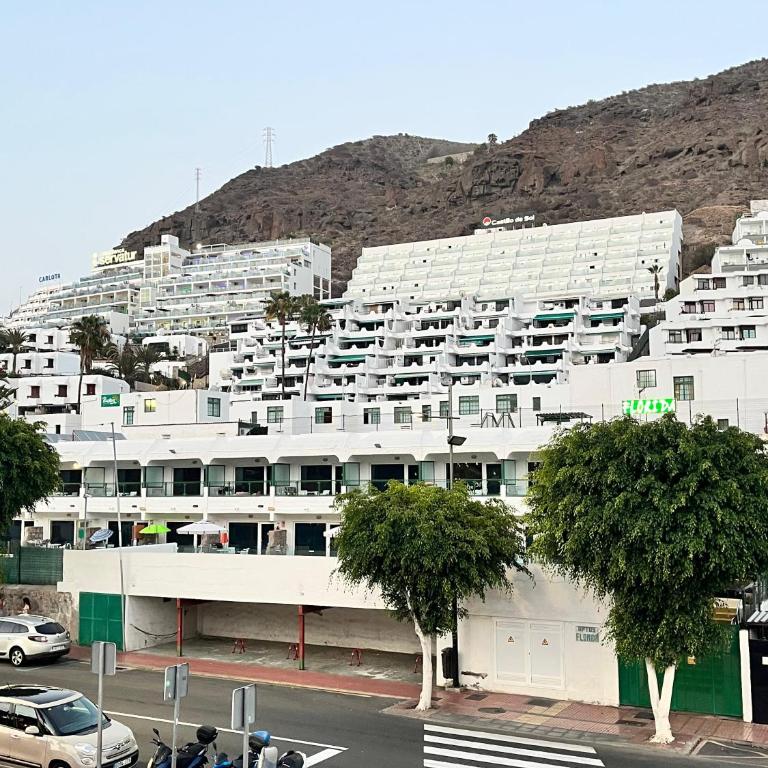 Apartamentos Florida Gran Canaria Adults Only - Apartamento de 1 dormitorio con vistas a la piscina - 15