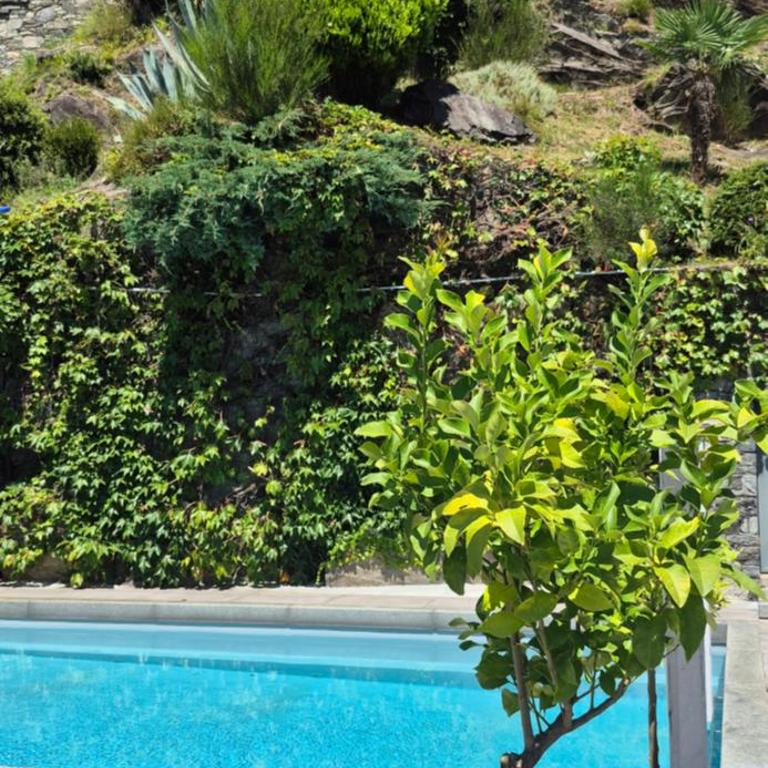 Sollevante Ascona mit Pool und fantastischer Seesicht - Appartamento con 1 Camera da Letto - 30
