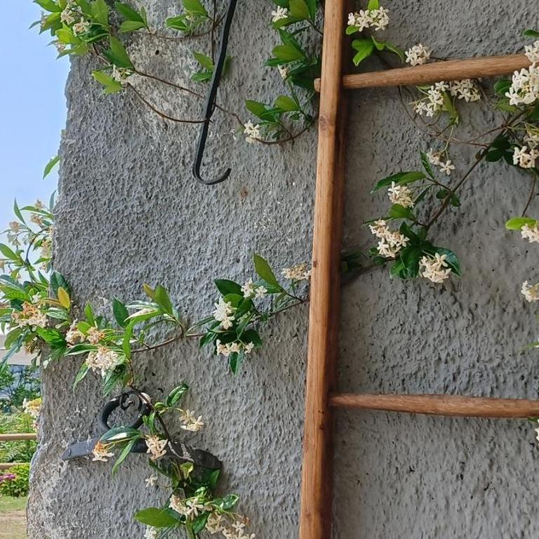 Le Drupe - Casa Vacanze - 31