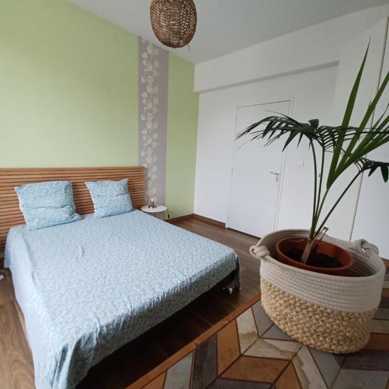 Charmant logement de Qualité - Centre ville de Millau - Appartement 1 Chambre - 8
