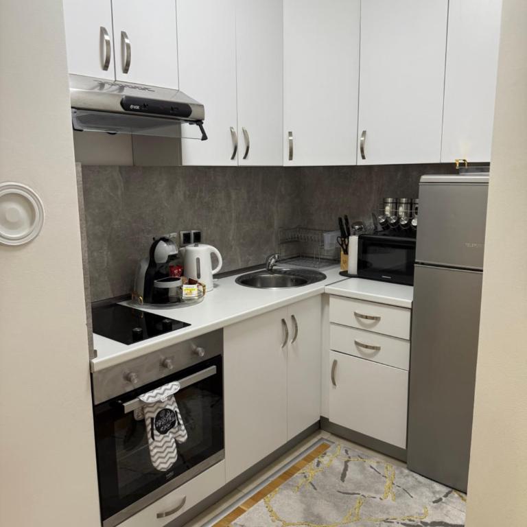 Nur Bulevar - Apartman sa 1 Spavaćom Sobom - 11