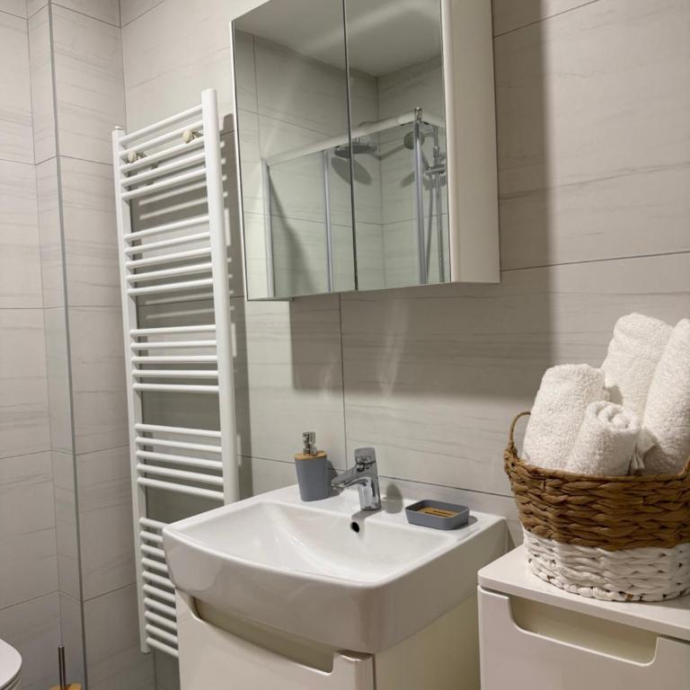 Nur Bulevar - Apartman sa 1 Spavaćom Sobom - 15