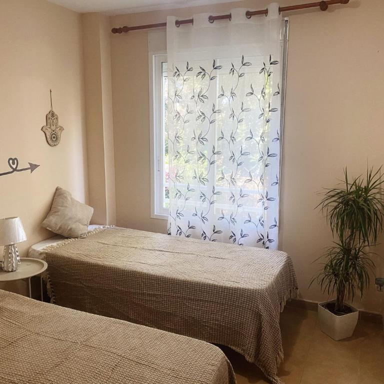 Appartment Maximar - Apartamento de 2 dormitorios - 11