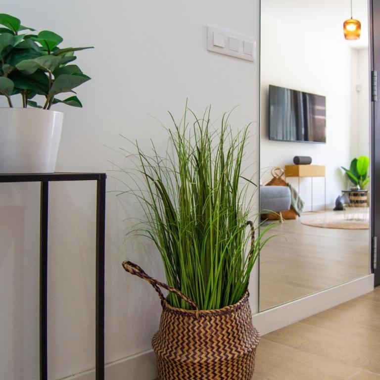 Alber Sunset by Best Holidays Fuerteventura - Apartamento de 1 dormitorio - 7