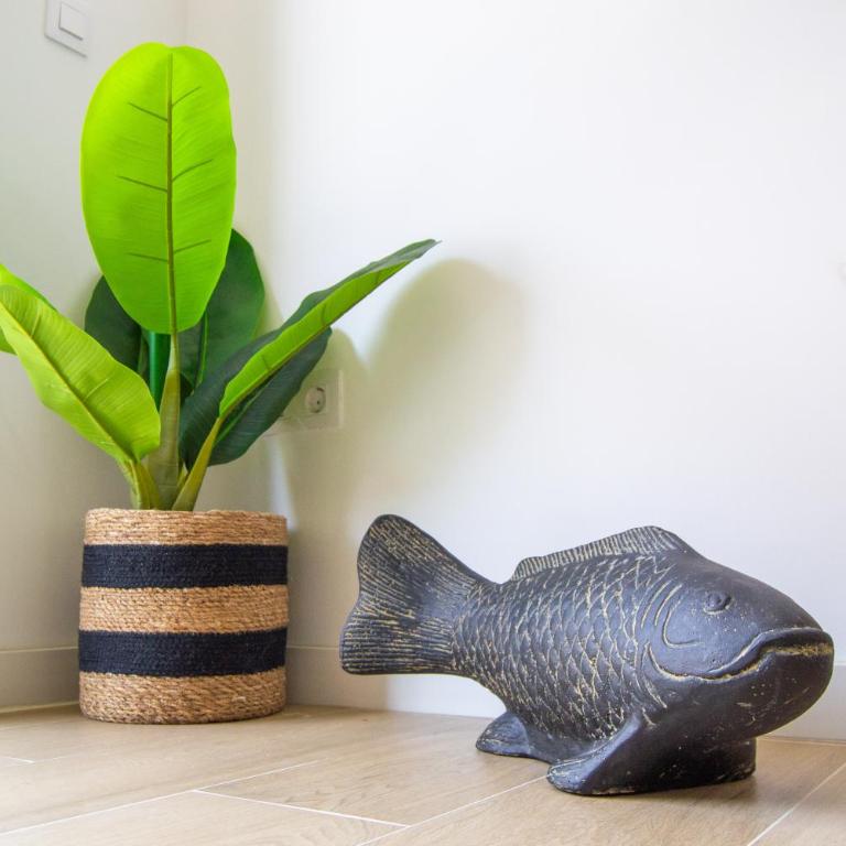 Alber Sunset by Best Holidays Fuerteventura - Apartamento de 1 dormitorio - 3