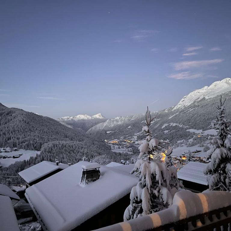 Chalet La Piste Noire - Chalet 3 Chambres - 4