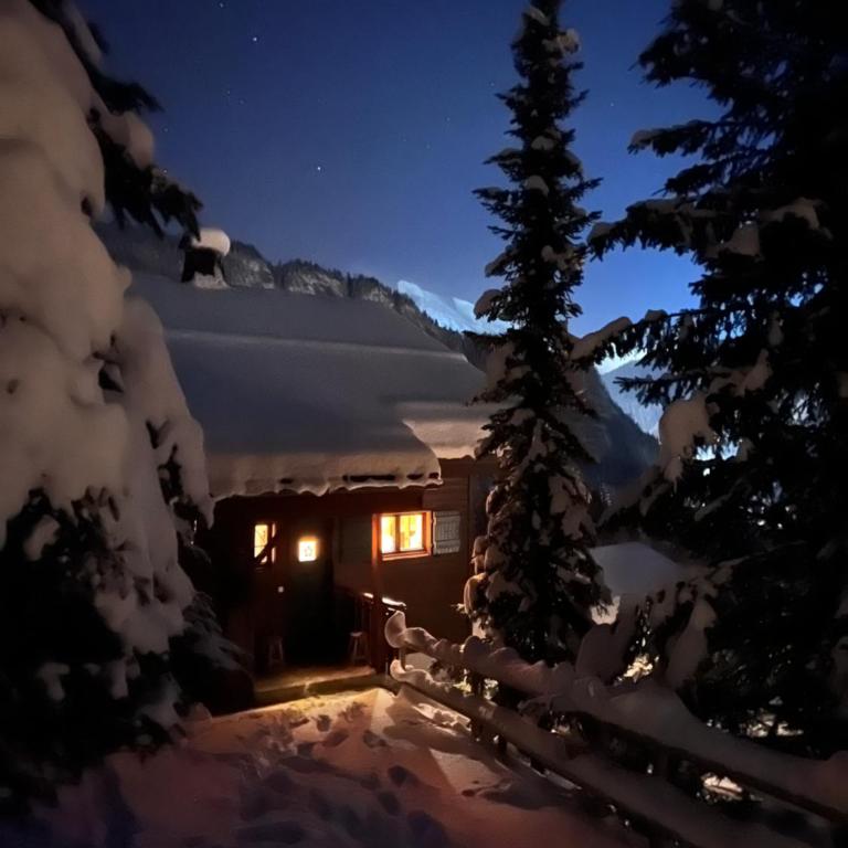 Chalet La Piste Noire - Chalet 3 Chambres - 3