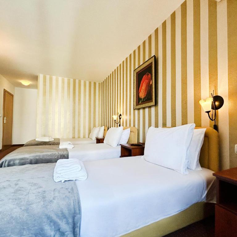 Central Hotel & Restaurant - Klasična Trokrevetna Soba - 11