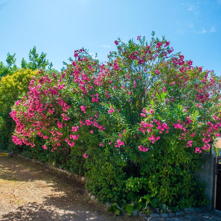 Villa Laura - Villa - 49