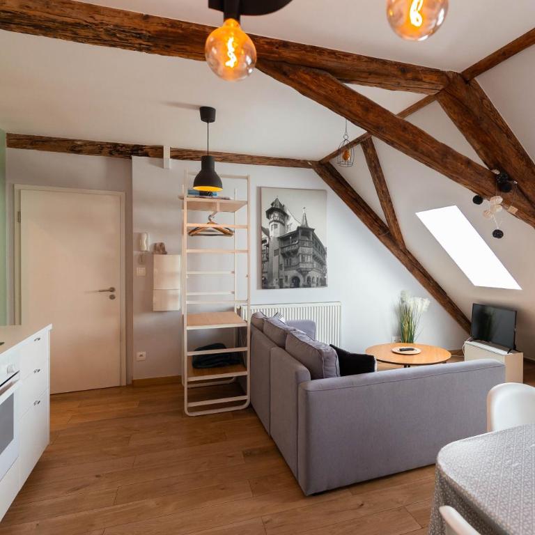 Colmar Historic Center - BELLE ALSACE 5 - 4 étoiles - Superior Apartment - 11