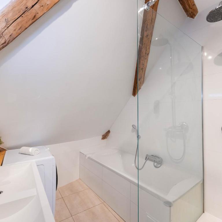 Colmar Historic Center - BELLE ALSACE 5 - 4 étoiles - Superior Apartment - 29