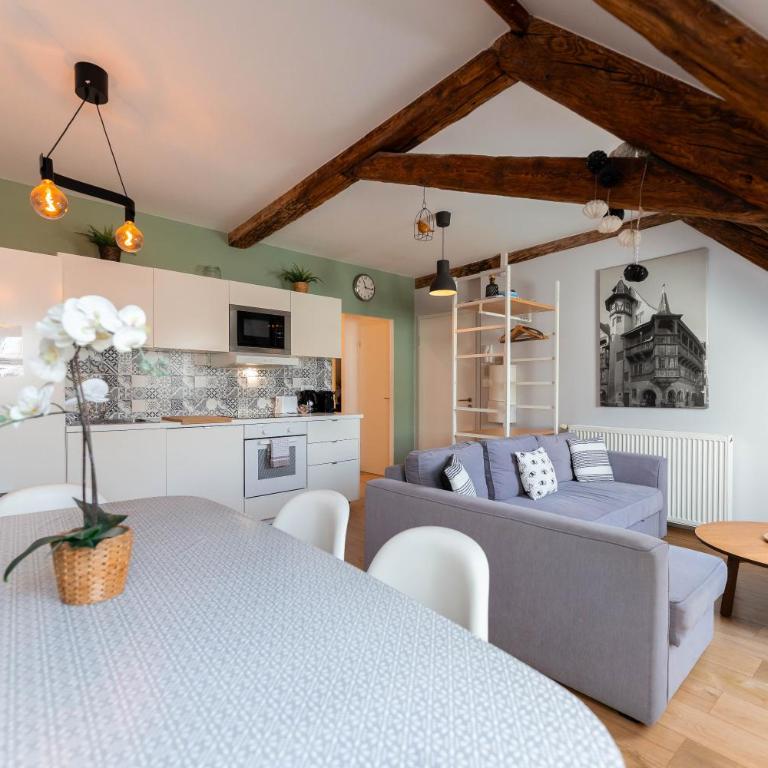 Colmar Historic Center - BELLE ALSACE 5 - 4 étoiles - Superior Apartment - 5