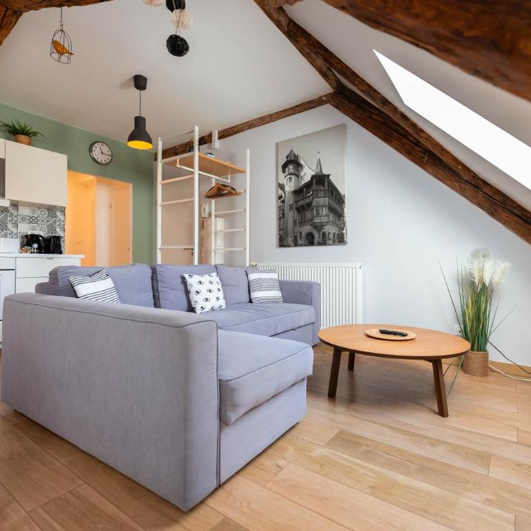 Colmar Historic Center - BELLE ALSACE 5 - 4 étoiles - Superior Apartment - 9