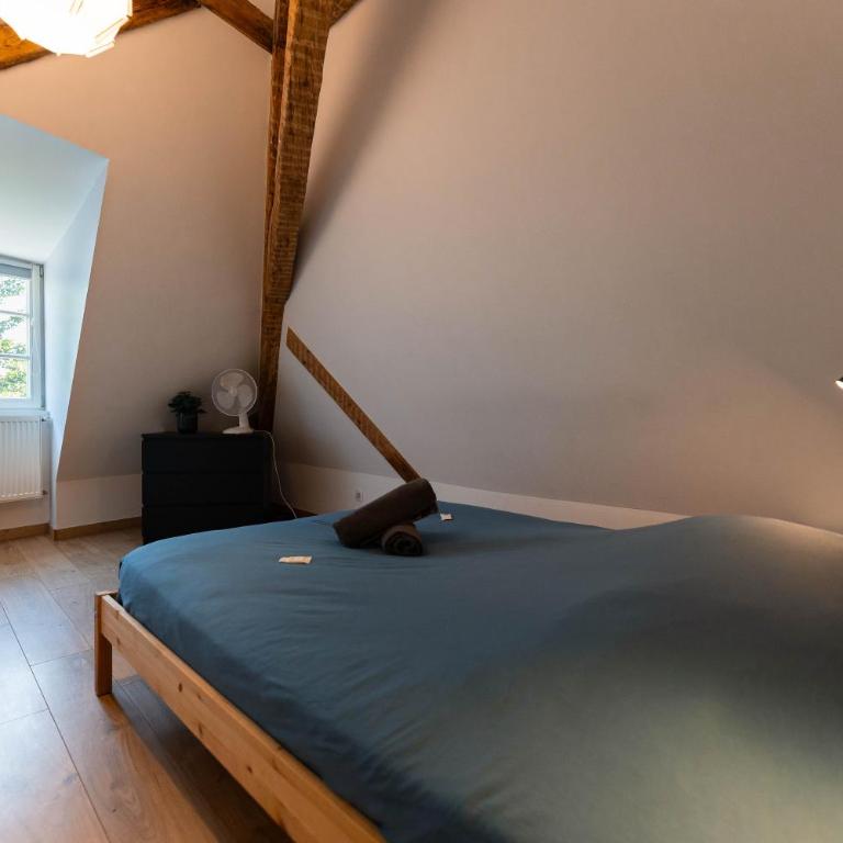 Colmar Historic Center - BELLE ALSACE 5 - 4 étoiles - Superior Apartment - 25