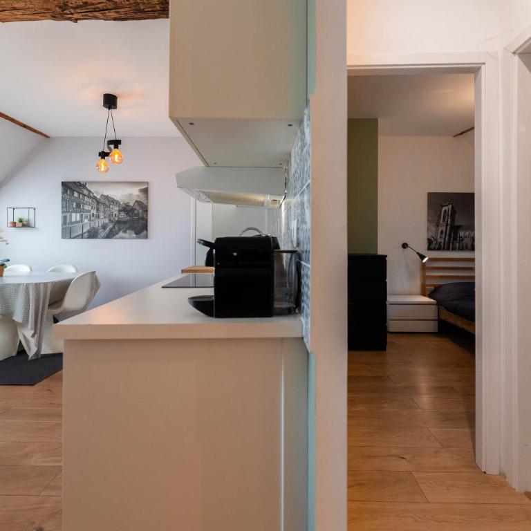 Colmar Historic Center - BELLE ALSACE 5 - 4 étoiles - Superior Apartment - 17